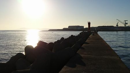 なかなかのサイズのアジでした！